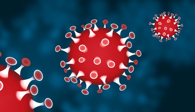Virus